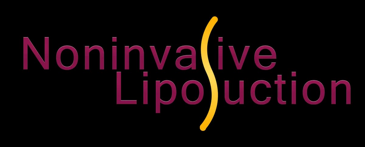 LIPO program logotip